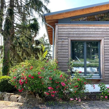 Balthasar Ress Guesthouse Am Rebhang Im Rheingau 厄斯特里希·温克尔 外观 照片