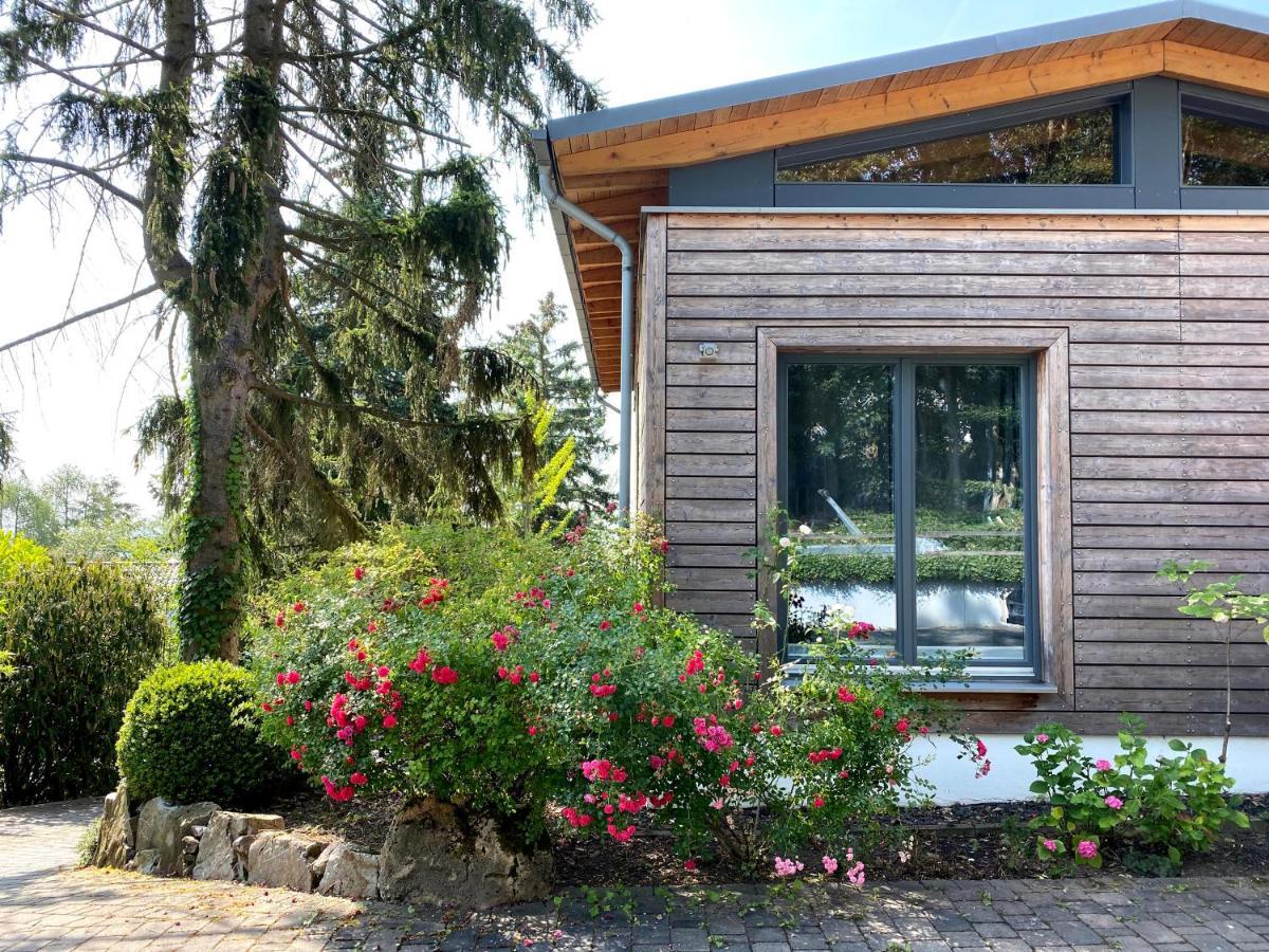 Balthasar Ress Guesthouse Am Rebhang Im Rheingau 厄斯特里希·温克尔 外观 照片