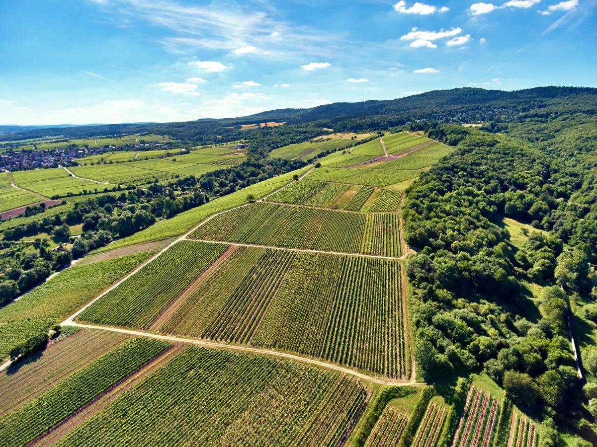 Balthasar Ress Guesthouse Am Rebhang Im Rheingau 厄斯特里希·温克尔 外观 照片